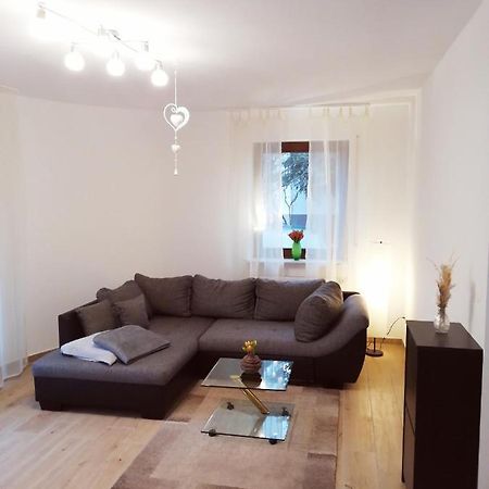 Ebenerdige Ferienwohnung Mit Grosser Terrasse In Der Naehe Des Waldes, Zum Wohlfuehlen Schoneck Exterior photo