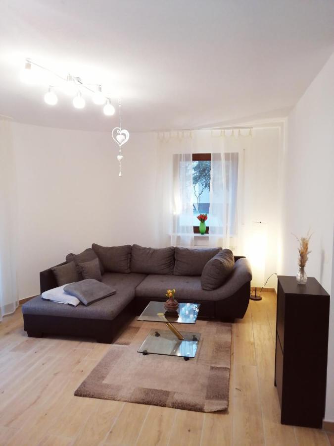 Ebenerdige Ferienwohnung Mit Grosser Terrasse In Der Naehe Des Waldes, Zum Wohlfuehlen Schoneck Exterior photo